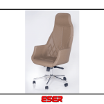 Redi Müdür Koltuğu