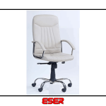 Efes Müdür Koltuğu