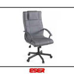 Aylin Müdür Koltuğu