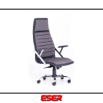 Galaksi Müdür Koltuğu