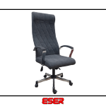 Jazz Müdür Koltuğu