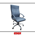 Narin Müdür Koltuğu