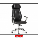 Tirex Müdür Koltuğu
