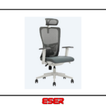 Lumbar Plus File Müdür Koltuğu